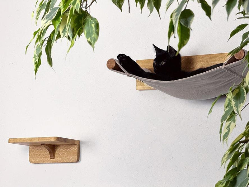 Hängematte für Katzen aus massiver Eiche | Katzenwand | Katzenleiter | Kletterwand Katze | Katzenmöbel