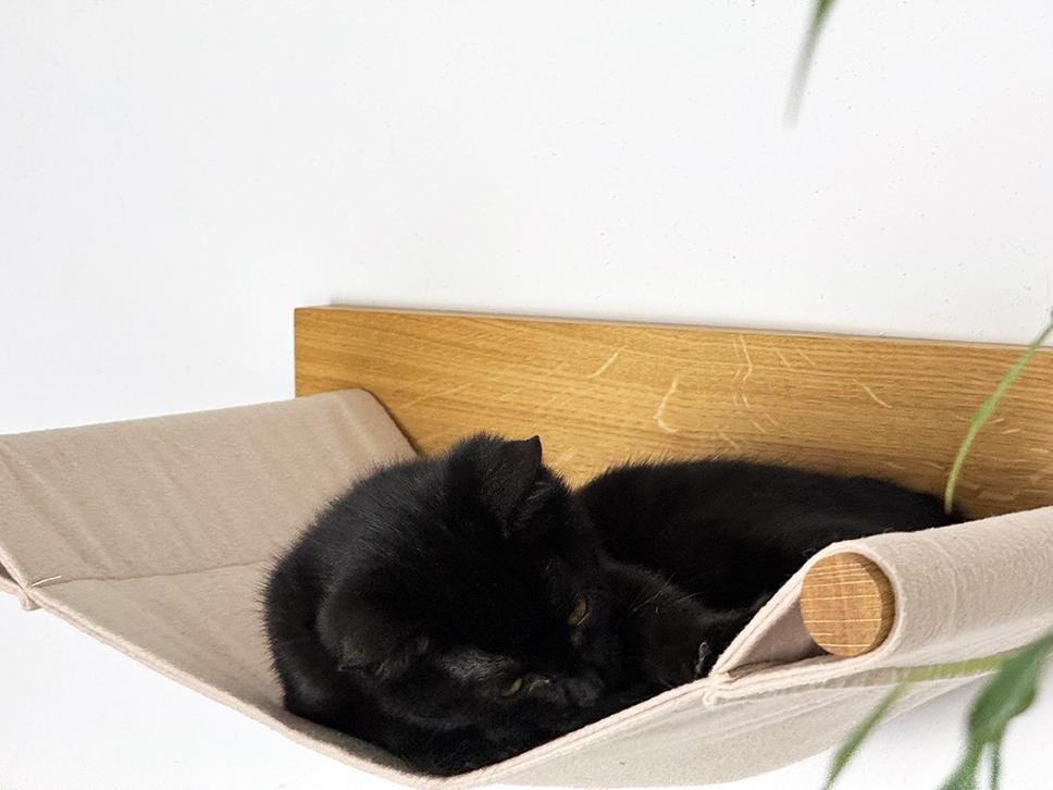 Set aus Hängematte mit Katzenstufen aus massiver Eiche | Katzenwand | Katzenleiter | Kletterwand Katze | Katzenmöbel | Preisvorteil im Set