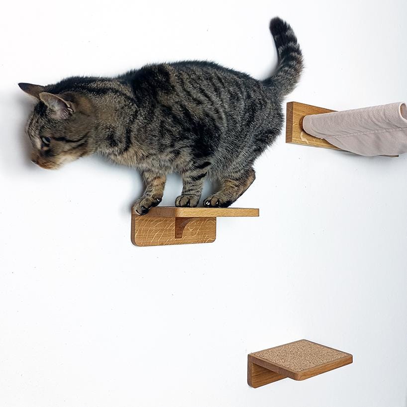 Set aus Hängematte mit Katzenstufen aus massiver Eiche | Katzenwand | Katzenleiter | Kletterwand Katze | Katzenmöbel | Preisvorteil im Set