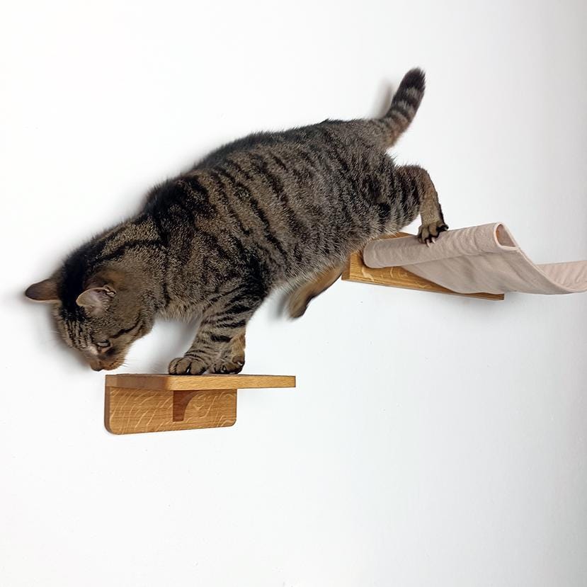 Hängematte für Katzen aus massiver Eiche | Katzenwand | Katzenleiter | Kletterwand Katze | Katzenmöbel