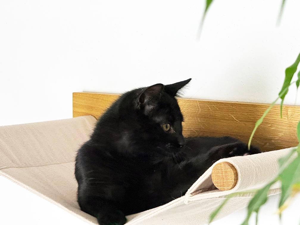 Set aus Hängematte mit Katzenstufen aus massiver Eiche | Katzenwand | Katzenleiter | Kletterwand Katze | Katzenmöbel | Preisvorteil im Set