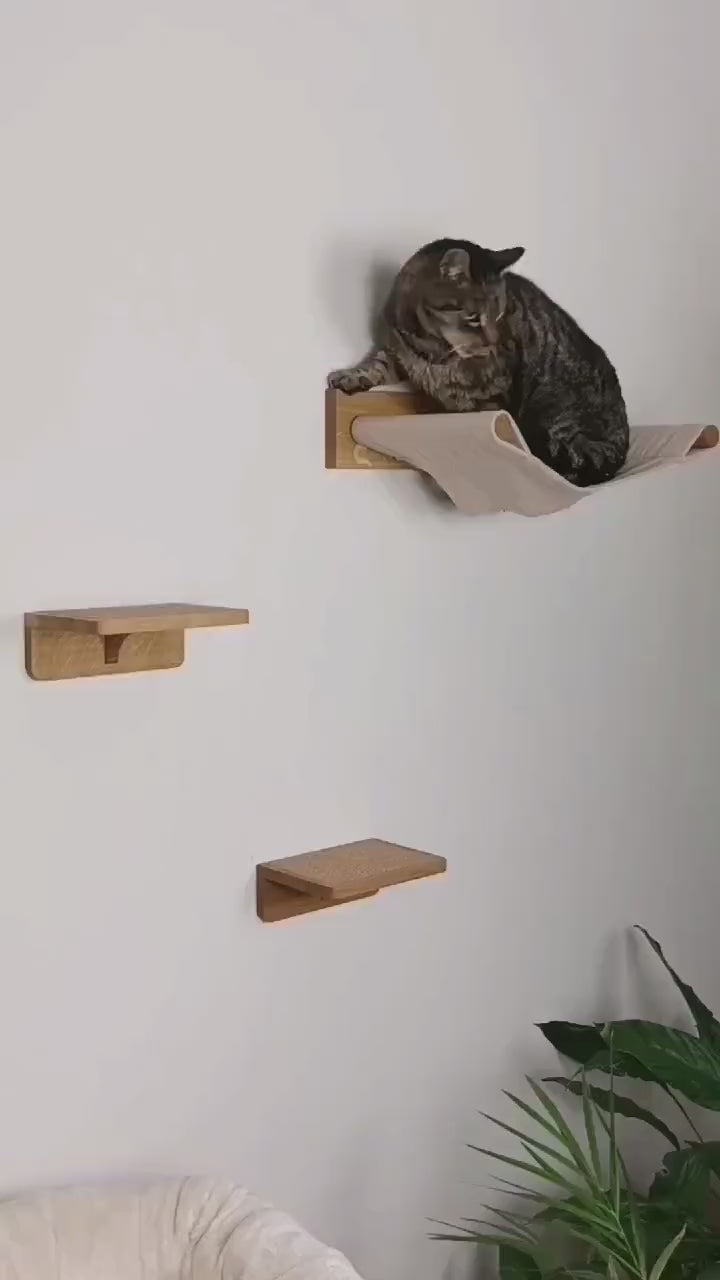 Set aus Hängematte mit Katzenstufen aus massiver Eiche | Katzenwand | Katzenleiter | Kletterwand Katze | Katzenmöbel | Preisvorteil im Set